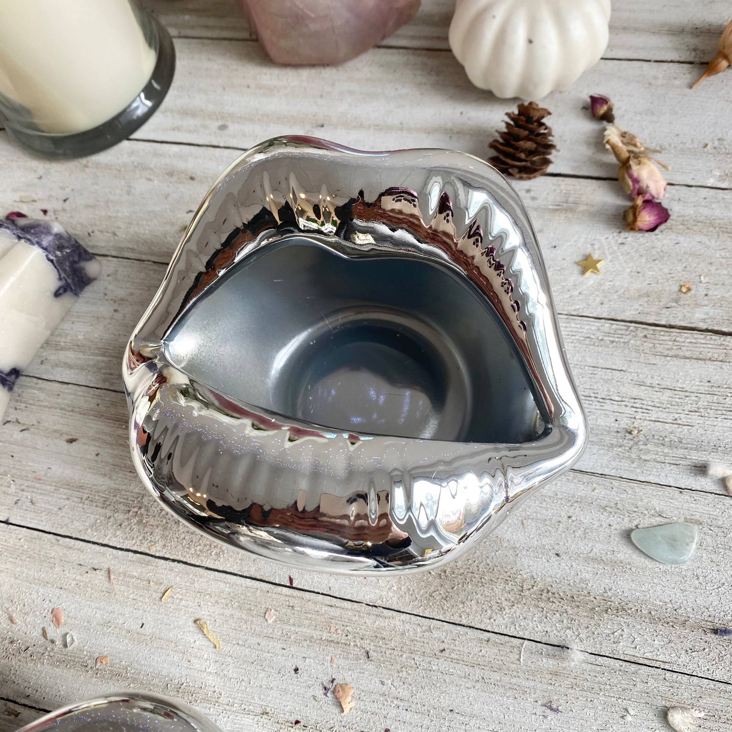 Silver Lip Bowl