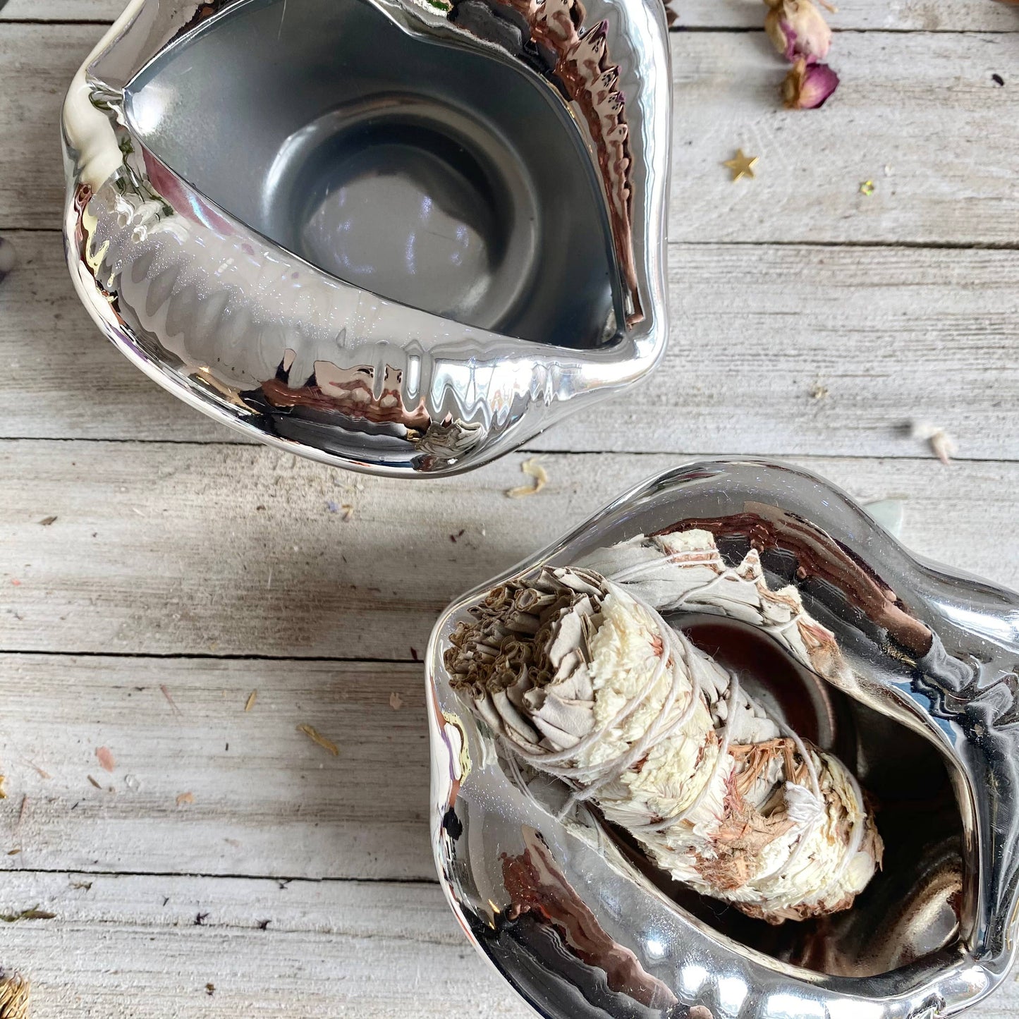 Silver Lip Bowl