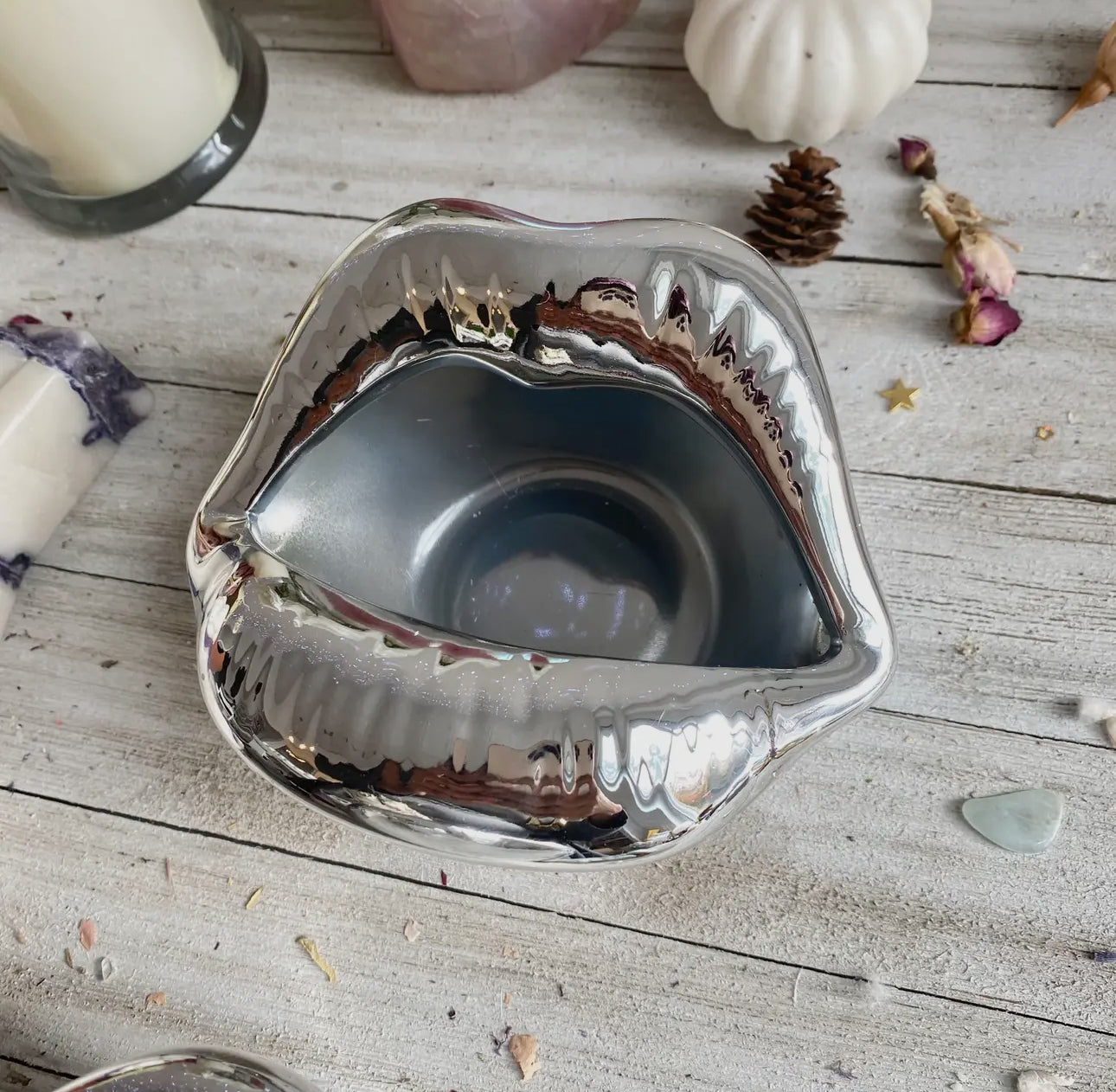 Silver Lip Bowl